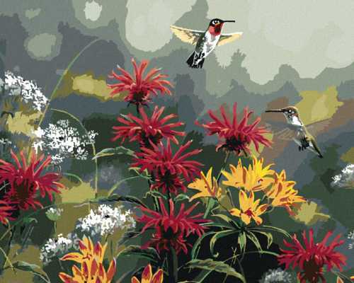Paint by Numbers - HUMMINGBIRD AND FLOWERS (ABRAHAM HUNTER)