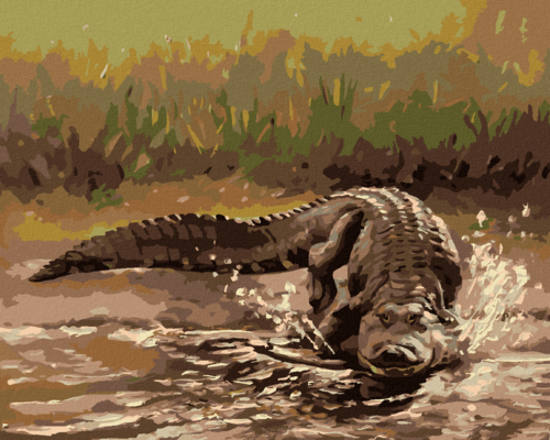 Zuty - Paint by Numbers - ALLIGATOR RUNNING INTO THE WATER (D. RUSTY