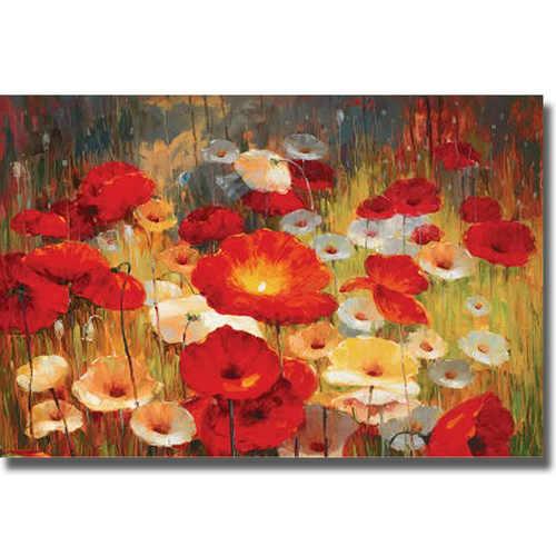 Artistic Home Gallery 2436537S Meadow Poppies I By Lucas Santini Premi