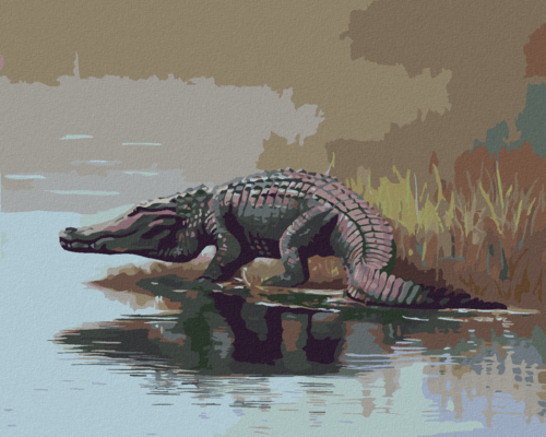 Zuty - Paint by Numbers - ALLIGATOR GOING INTO THE WATER (D. RUSTY