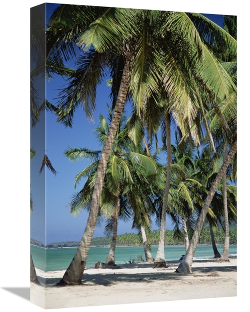 Global Gallery GCS-452417-1218-142 12 x 18 in. Coconut Palm Trees & Be