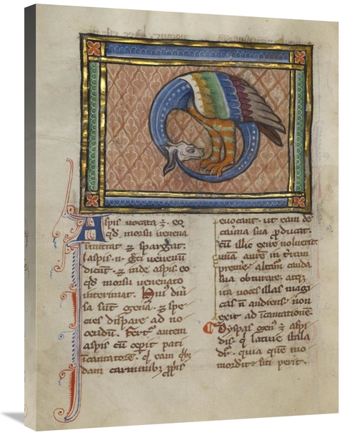 Global Gallery GCS-454757-2432-142 24 x 32 in. A Dragon-like Snake Art