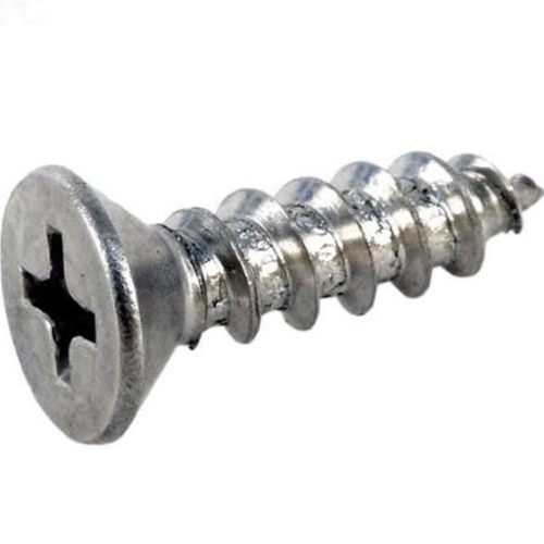 Pentair Rainbow R172612 10 x 0.75 Flat Head Screw