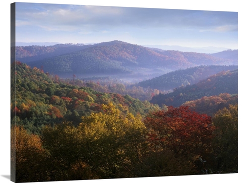 Global Gallery GCS-452273-3040-142 30 x 40 in. Autumn Deciduous Forest