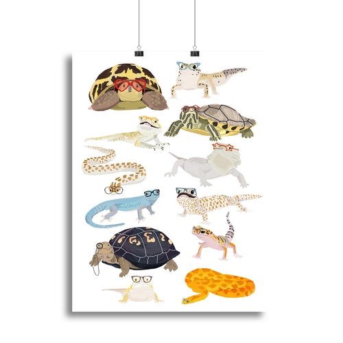 12 Reptiles In Glasses Canvas Print or Poster