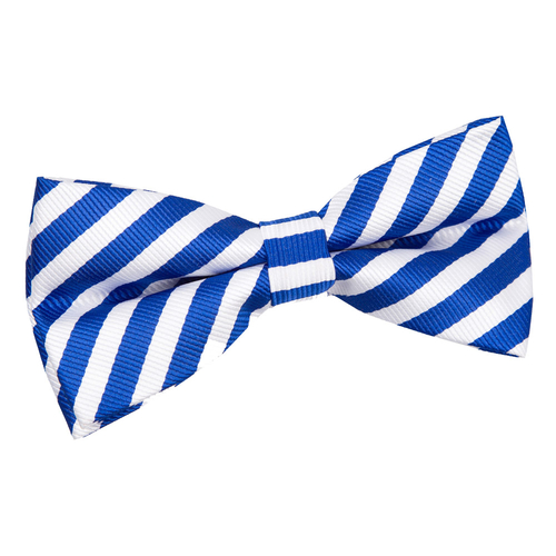 Thin Stripe Pre-Tied Bow Tie - White & Royal Blue