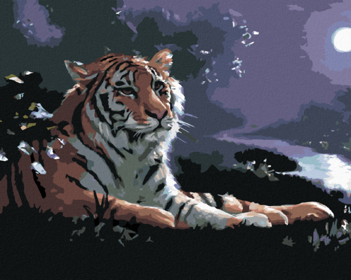 Zuty - Paint by Numbers - LYING TIGER, RIVER AND FULL MOON (D. RUSTY