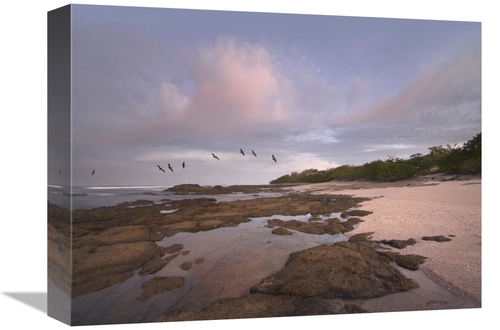 Global Gallery GCS-396360-1216-142 12 x 16 in. Pelicans Over Playa Lan