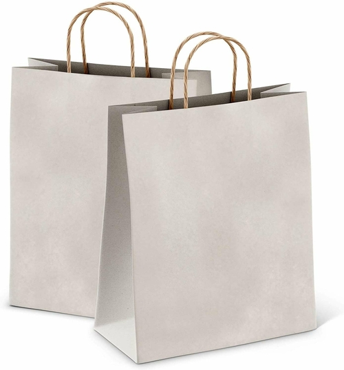 Silver Shopping Bags Bulk Pack of 25 Large Paper Bags 10 x 5 x 13
