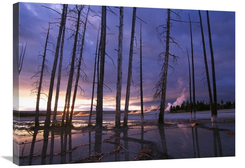 Global Gallery GCS-452051-2432-142 24 x 32 in. Dead Trees in Lower Gey