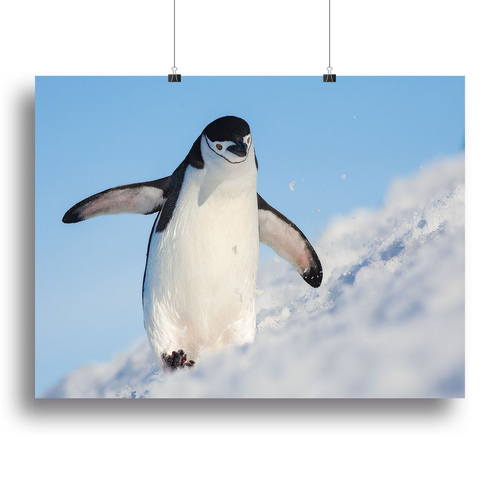 Running up that hill Canvas Print or Poster