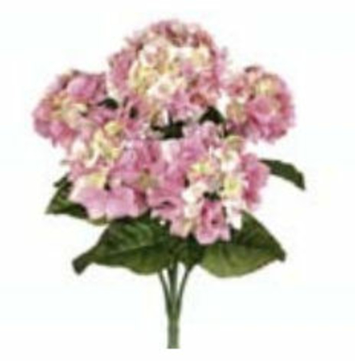 FBH335-PK 22 in. Pink Hydrangea Bush X5- Case of 6