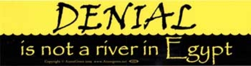 Denial Is Not A River In Egypt bumper sticker