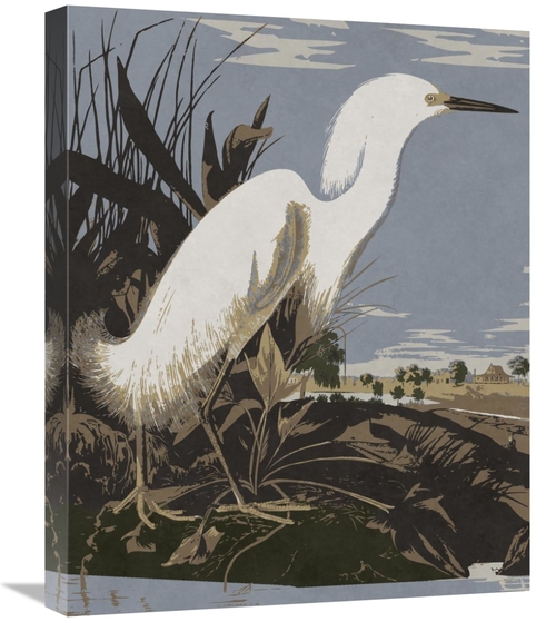 Global Gallery GCS-394761-2024-142 20 x 24 in. Audubon Decor - Snowy E