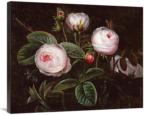 Global Gallery GCS-268166-36-142 36 in. Pink Roses Art Print - Johan L