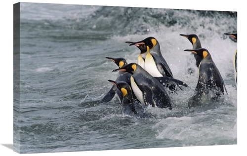 Global Gallery GCS-452412-2030-142 20 x 30 in. King Penguin Group Ente