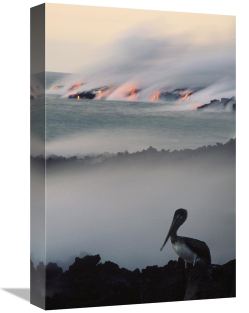 Global Gallery GCS-451044-1218-142 12 x 18 in. Brown Pelican by A Lava