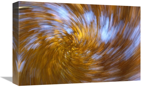 Global Gallery GCS-398487-1218-142 12 x 18 in. European Beech Abstract