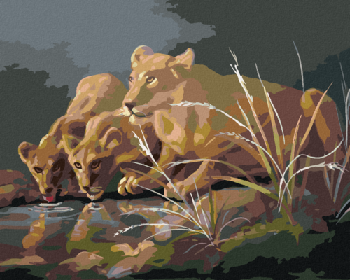 Zuty - Paint by Numbers - LIONESS AT A WATERING HOLE IN THE DARK (D.