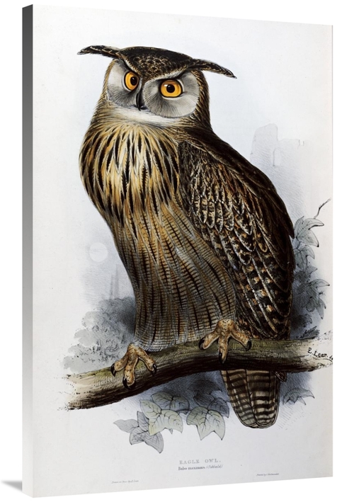 Global Gallery GCS-266416-40-142 40 in. Eagle Owl Art Print - John Gou