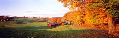 Fall Farm VT USA Poster Print by  - 36 x 12