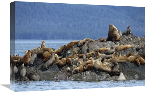 Global Gallery GCS-452543-1624-142 16 x 24 in. Stellers Seas Group Con