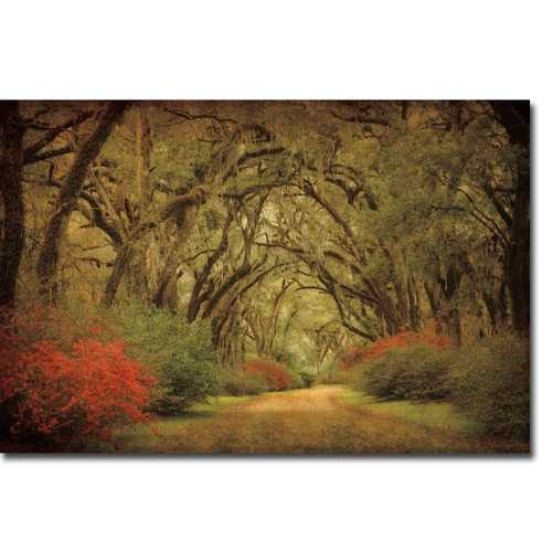 Artistic Home Gallery 1624Y745CG Road Lined with Oaks & Flowers by Wil