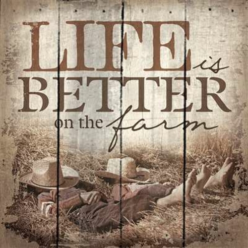 Artistic Reflections PA1005 14 x 14 in. Life Is Better On the Farm Woo