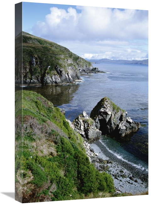 Global Gallery GCS-451459-1624-142 16 x 24 in. Cape Horn National Park