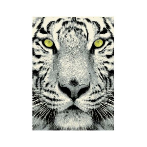 Wild Tiger Rug