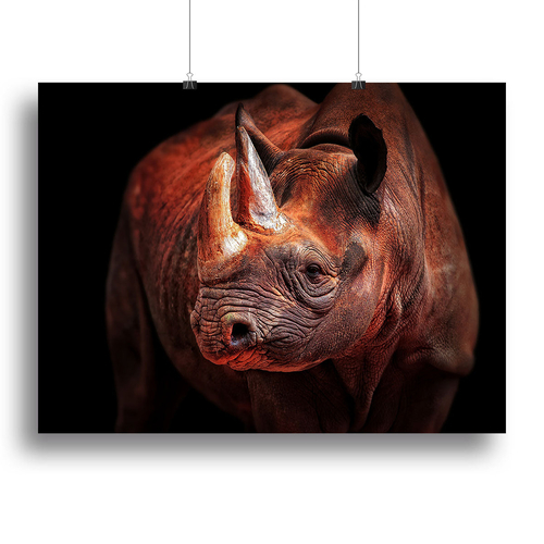 Rhino Posing Canvas Print or Poster