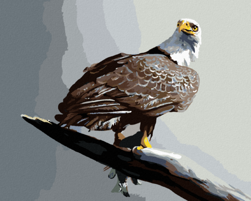 Zuty - Paint by Numbers - EAGLE ON GREY BACKGROUND (D. RUSTY RUST),