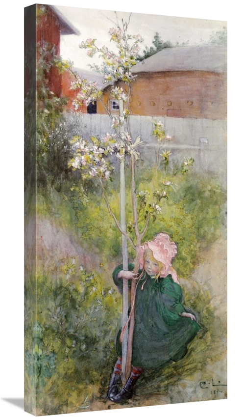 Global Gallery GCS-268227-30-142 30 in. Appleblossom Art Print - Carl 