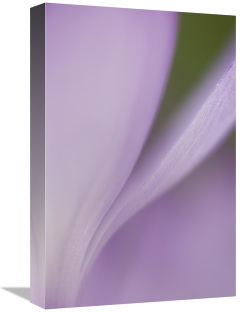 Global Gallery GCS-397862-1218-142 12 x 18 in. Spring Crocus Detail&#4