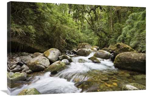 Global Gallery GCS-452663-2436-142 24 x 36 in. Savegre River Running T