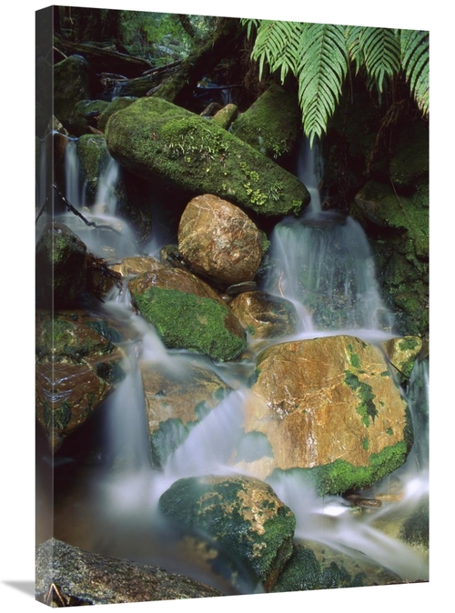 Global Gallery GCS-453504-2030-142 20 x 30 in. Stream Waterfall Near L