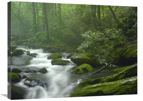 Global Gallery GCS-397101-2432-142 24 x 32 in. Roaring Fork River Flow