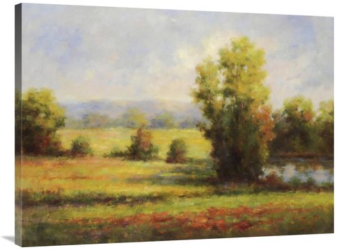 Global Gallery GCS-130630-3040-142 30 x 40 in. Red Meadow I Art Print 