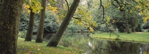 Panoramic Images PPI101335L Trees near a pond in a park  Vondelpark  A