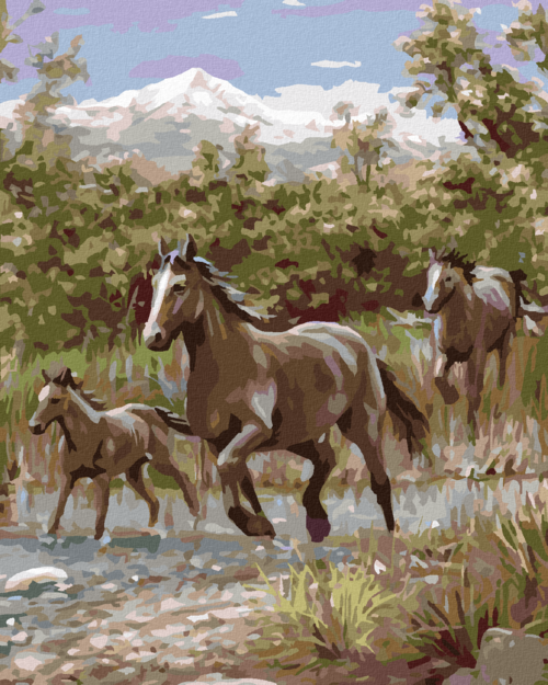Zuty - Paint by Numbers - HORSES RUNNING ACROSS A RIVER AND A MOUNTAIN