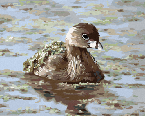 Zuty - Paint by Numbers - GREBES (D. RUSTY RUST), 40x50 cm