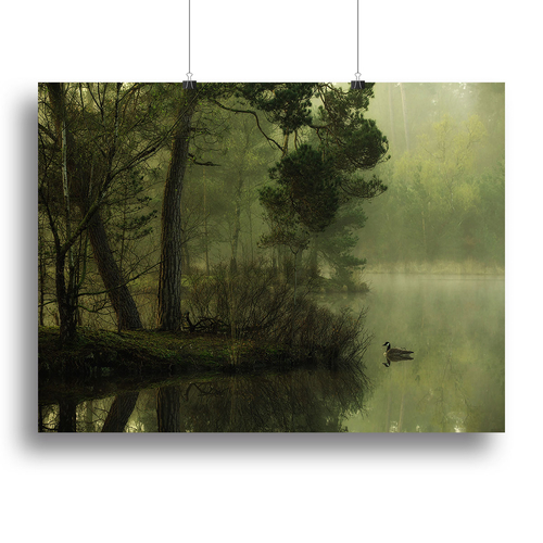 Mood Of Spring Canvas Print or Poster