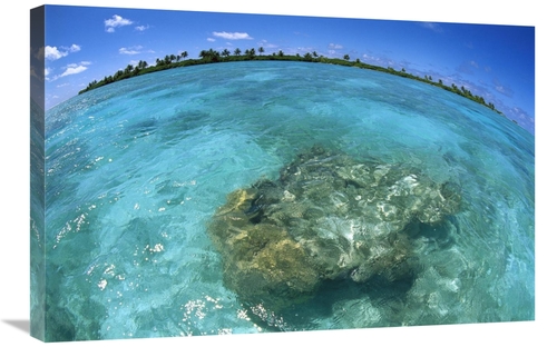 Global Gallery GCS-451672-2030-142 20 x 30 in. Reef Seascape, Palm