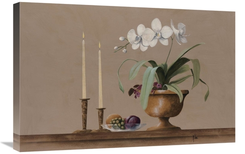 Global Gallery GCS-124356-2030-142 20 x 30 in. White Orchid Still Life