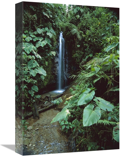 Global Gallery GCS-451644-1218-142 12 x 18 in. Andean Cloud Forest&#44