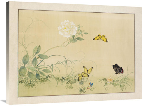 Global Gallery GCS-110335-3040-142 30 x 40 in. White Rose & Butterflie