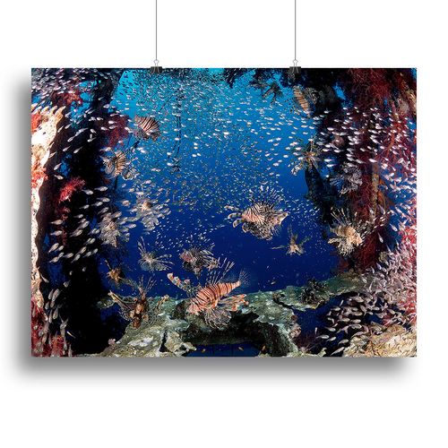 Lionfish Party Canvas Print or Poster