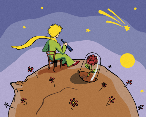 Paint by Numbers - THE LITTLE PRINCE LOOKING AT THE STARS