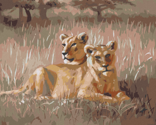 Zuty - Paint by Numbers - RESTING LION (D. RUSTY RUST), 40x50 cm