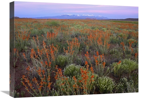 Global Gallery GCS-396868-1824-142 18 x 24 in. La Sal Mountains & Glob